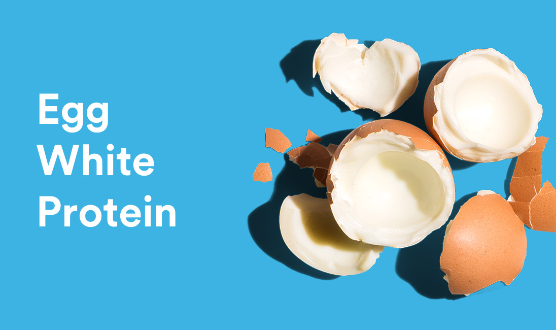 What is Egg White Protein?
